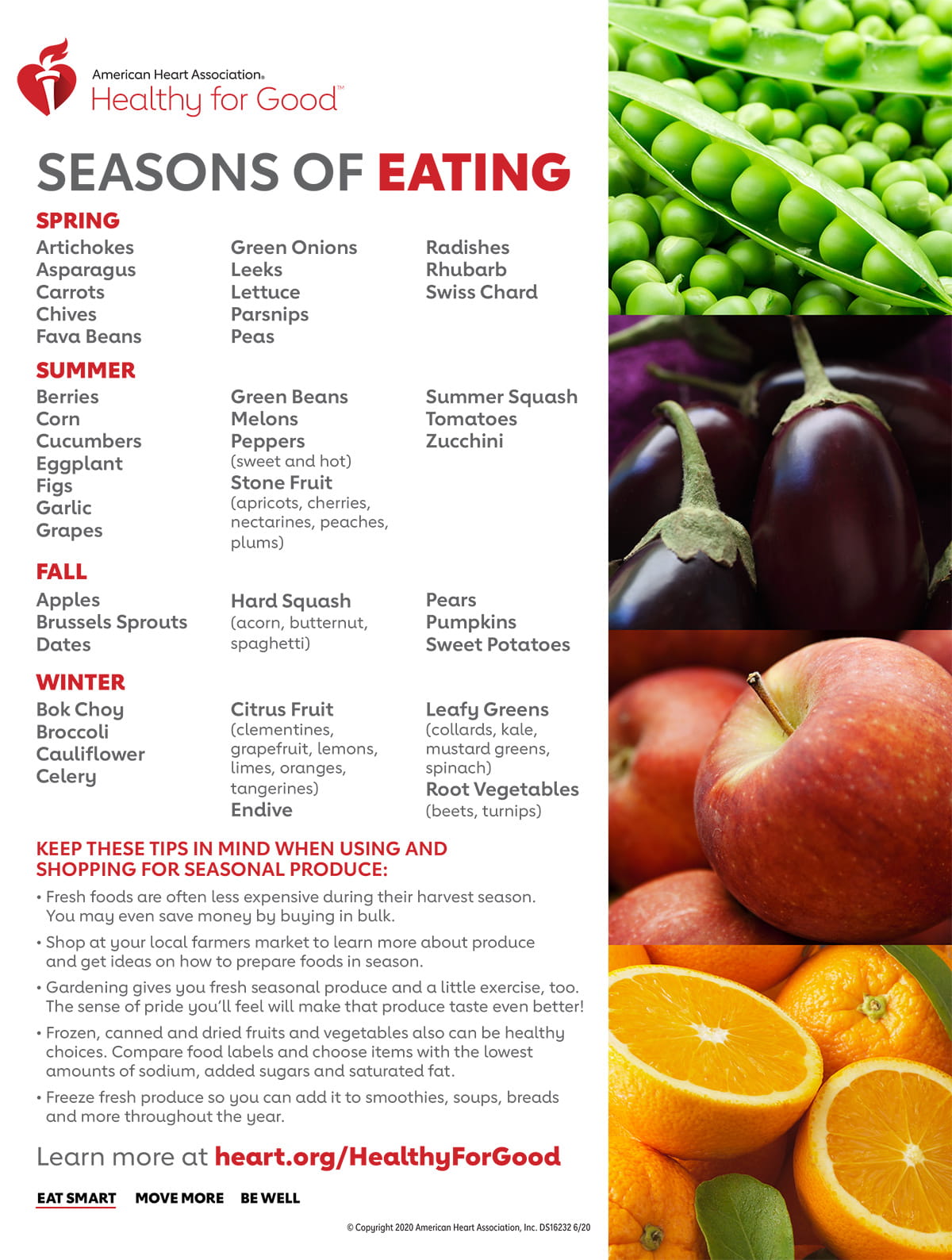 Seasons of Eating Infographic