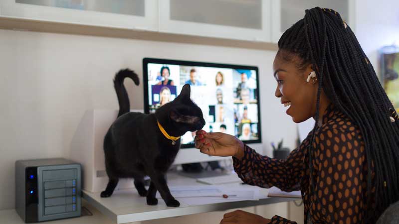 年轻女性在家和她的宠物猫进行视频通话