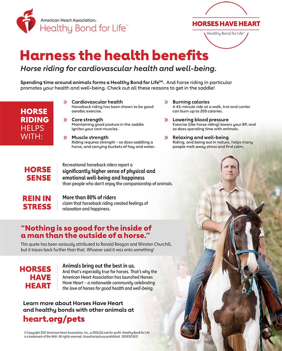 骑马为心血管健康和福祉信息图