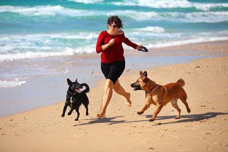 狗女人在沙滩上奔跑