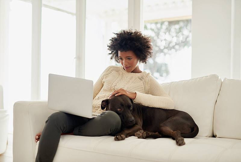 使用膝上型计算机的妇女在长沙发用狗