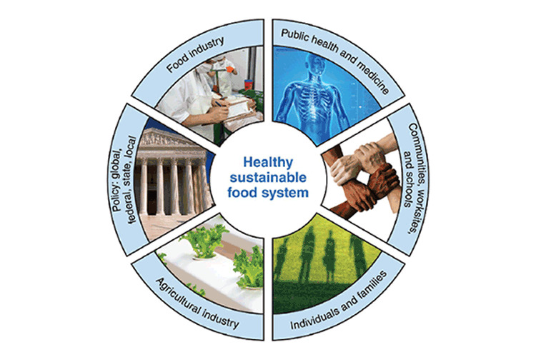 数字多个利益相关者为健康、可持续的粮食系统做出贡献。