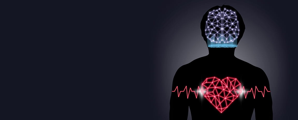人体轮廓的数字插图，用线条和点表示多边形的大脑和心脏