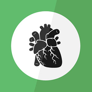 在一个绿色圈子的黑解剖心脏图画