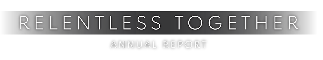 2019年 -  2020年度报告