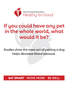 如果你可以拥有世界上任何一只宠物，你想要哪一只?研究表明，仅仅是抚摸狗狗的行为就能帮助降低血压。