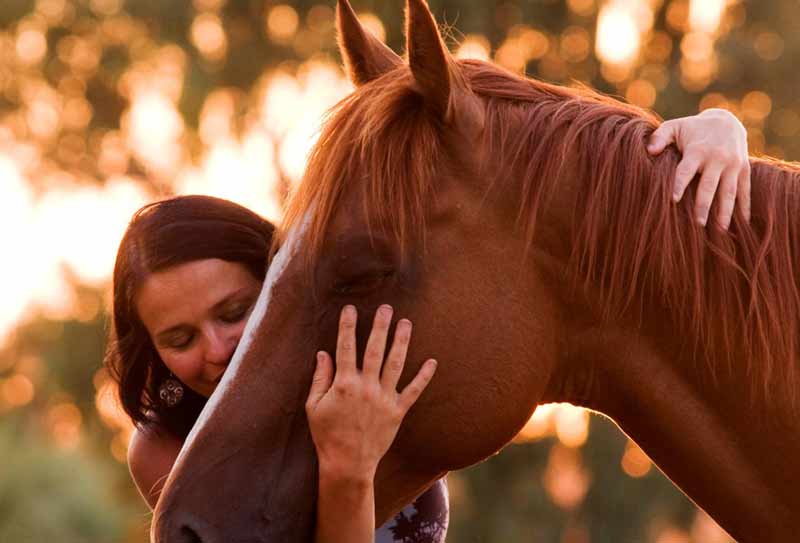 女人抱着一匹棕色的马