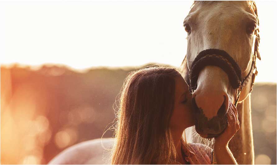 年轻女子亲吻她的马