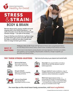 压力应变身体大脑信息图
