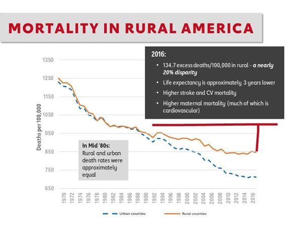 美国农村的死亡率图表