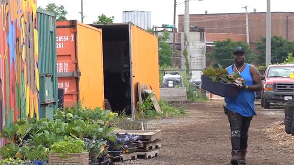 芝加哥城市种植者集体视频剪辑